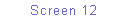 Text Box: Screen 12